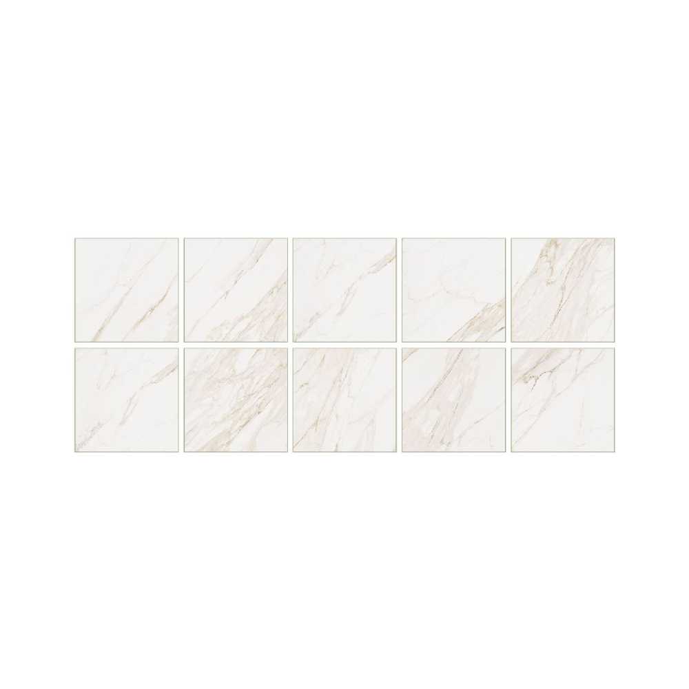 Calacatta 48X48 Matte